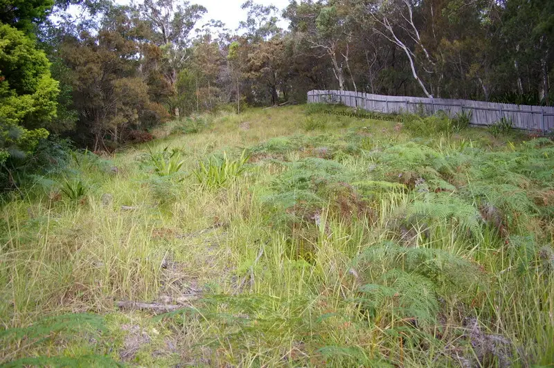 Main view of Homely land listing, 13 Navala Avenue, Nelson Bay NSW 2315
