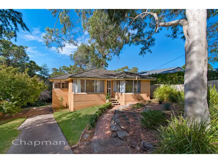20 Murray Avenue, Springwood NSW 2777