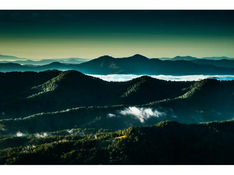 Second view of Homely rural property listing, 240 mountain top Road, Dorrigo NSW 2453