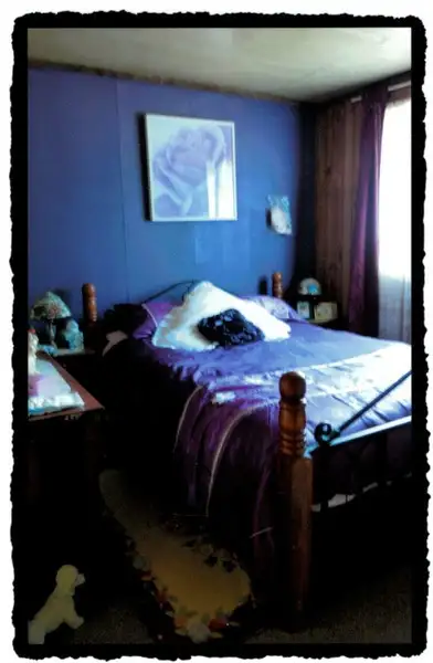 Seventh view of Homely rural property listing, 72 Wilks Road, Lorinna TAS 7306