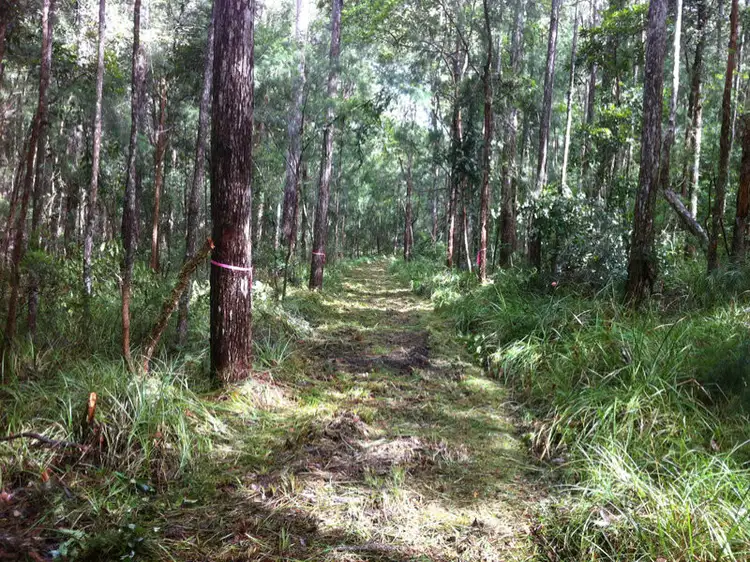 Fifth view of Homely land listing, LOT L490/Lot 7 Webster Road, Wondecla QLD 4887