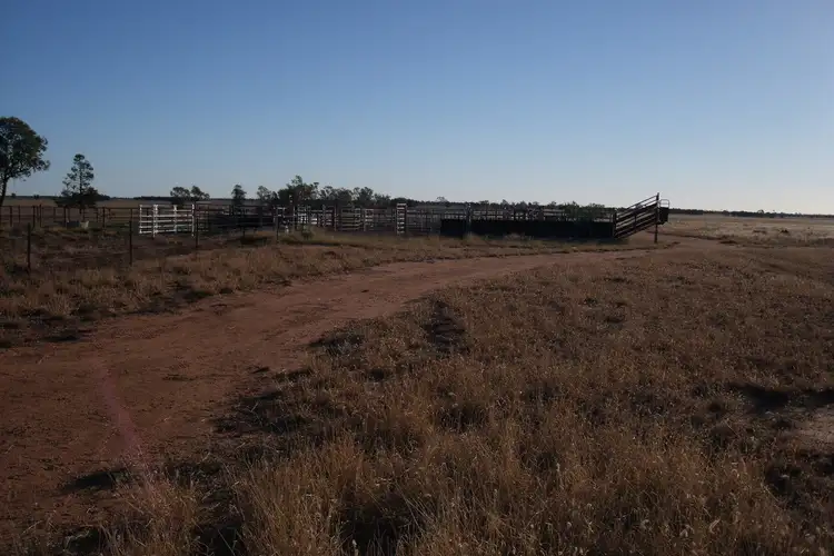 Seventh view of Homely rural property listing, 24265 Moonie Highway, St George QLD 4487