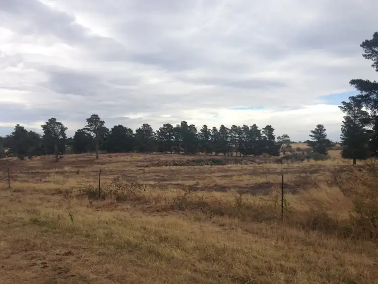 LOT 8 Oakwood Estate, Riddells Creek VIC 3431