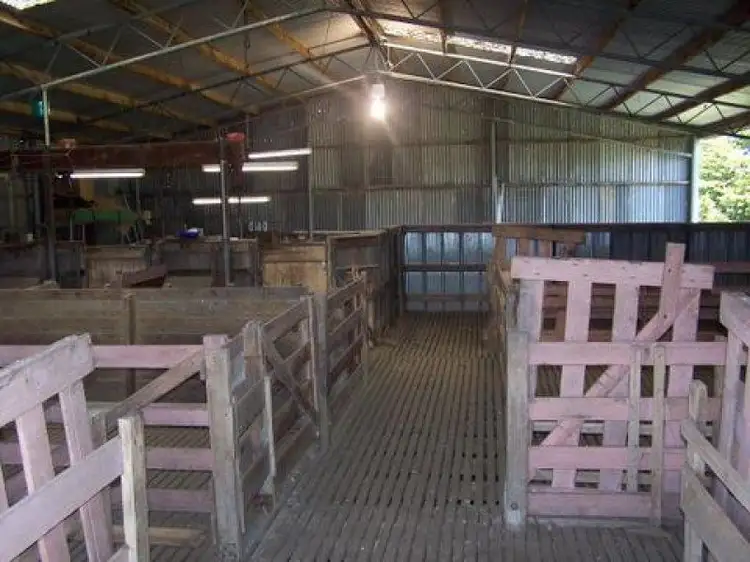 Fifth view of Homely rural property listing, 460 Ramsay Road, Irrewarra VIC 3249