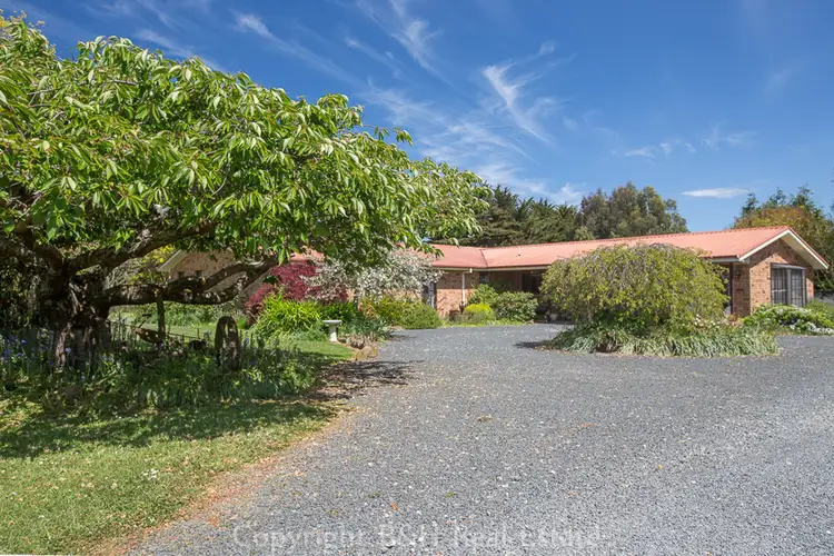 Second view of Homely rural property listing, 230 Ridgley Highway, Romaine TAS 7320