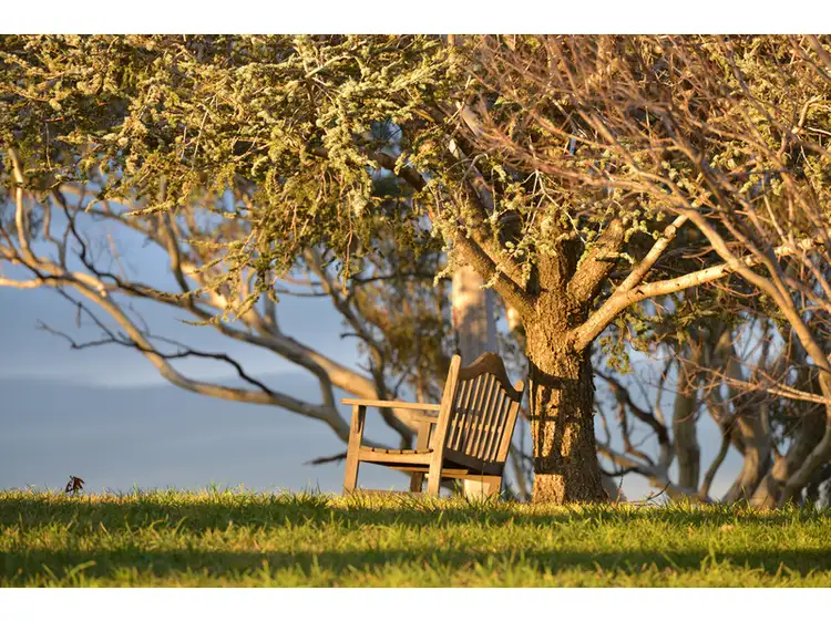Main view of Homely rural property listing, 'Spring Farm' 37 Curtin Road, Orange NSW 2800