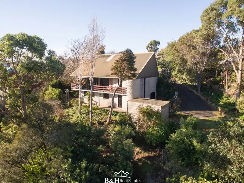 Main view of Homely house listing, 13-14 Tucker Avenue, Devonport TAS 7310