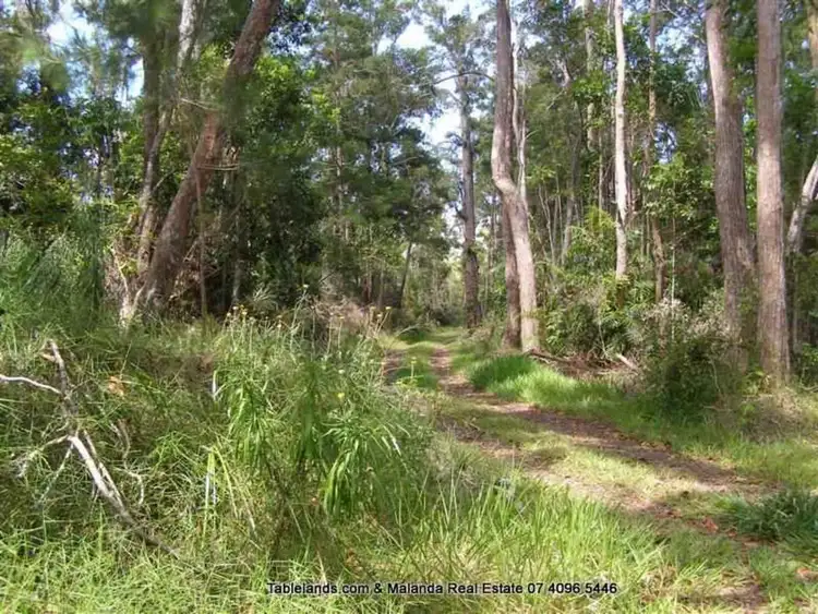 Seventh view of Homely rural property listing, LOT LS305, RN160 Gadaloff Road, Malanda QLD 4885