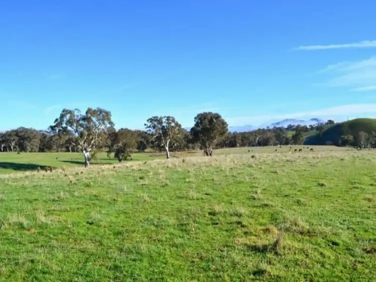 Sixth view of Homely rural property listing, 687 Monkey Gully Road, Mansfield VIC 3722