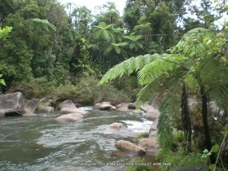 Main view of Homely rural property listing, LS313 601 Old Palmerston Highway, Millaa Millaa QLD 4886