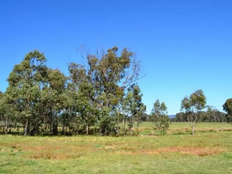 Fifth view of Homely rural property listing, LOT 13, 146 Ambrose Drive, Mansfield VIC 3722
