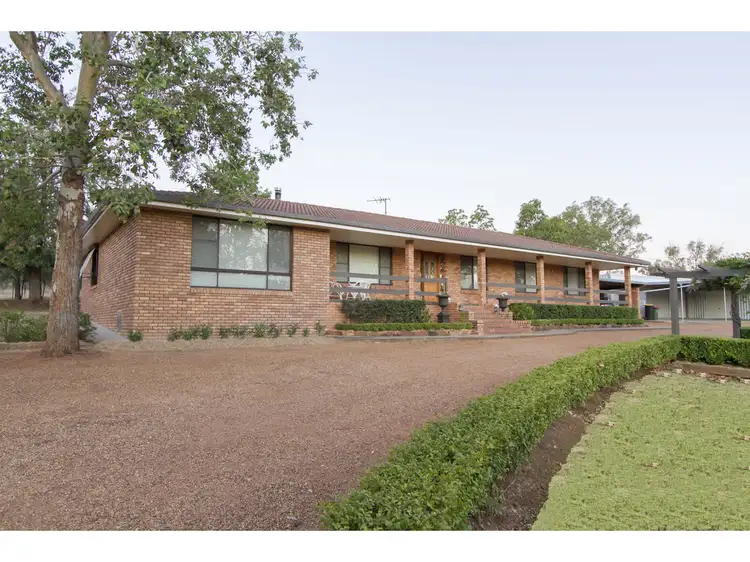 Main view of Homely house listing, 14-16 Booloocooroo Road, Gunnedah NSW 2380