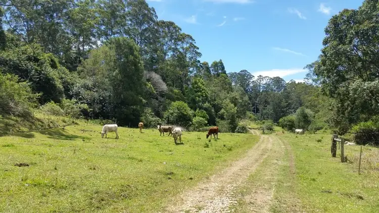 Third view of Homely rural property listing, 6 Caddell Road, Mount Burrell NSW 2484