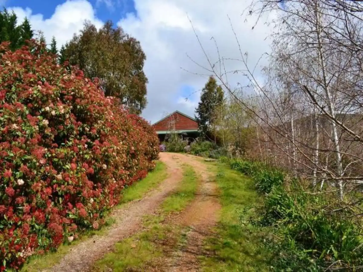 Main view of Homely rural property listing, 67 Star Of The Glen Road, Bonnie Doon VIC 3720