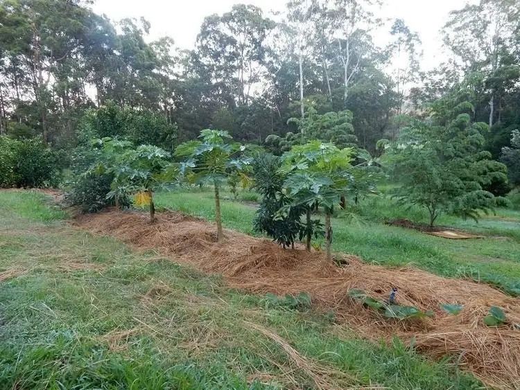 Third view of Homely house listing, 96 Davis Road, Cootharaba QLD 4565