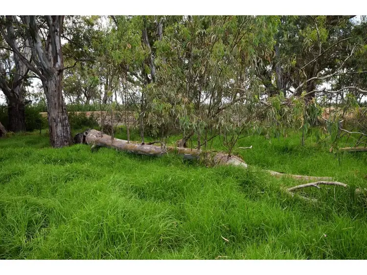 Fourth view of Homely rural property listing, Lot 52 North Bokara Road, Mypolonga SA 5254