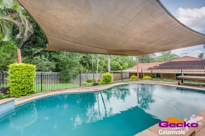 Main view of Homely house listing, 12 Cavill Place, Runcorn QLD 4113