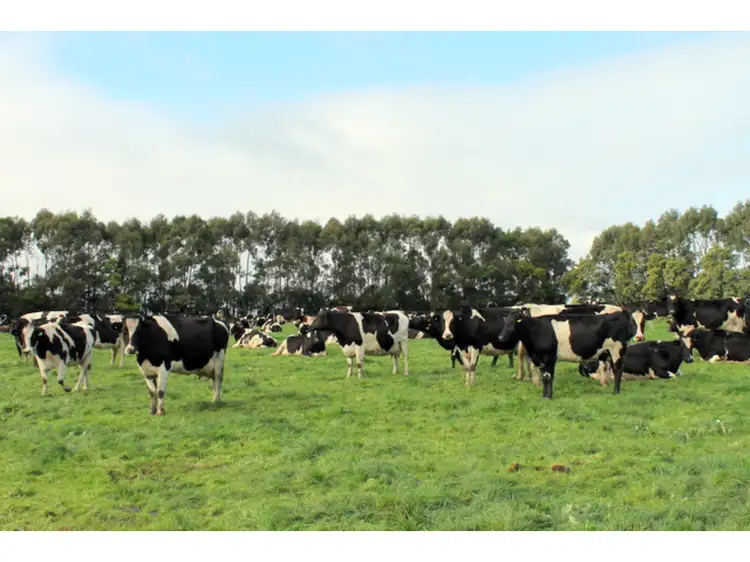 515 Tomahawk Creek Rd, Irrewillipe VIC 3249