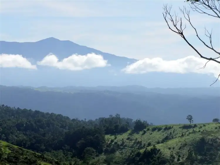 Fourth view of Homely rural property listing, F164 Lot 246 Palmerston Highway, Millaa Millaa QLD 4886
