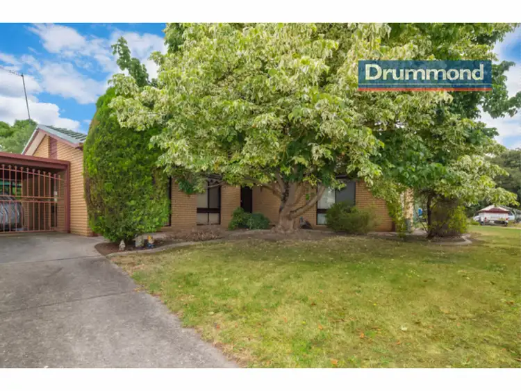 43 St Andrews Circuit, Thurgoona NSW 2640