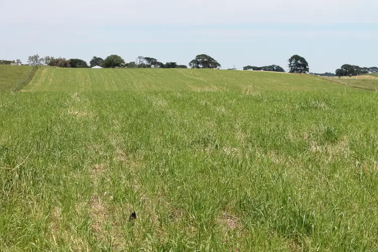 Fifth view of Homely rural property listing, 75 Ryans Lane, Coragulac VIC 3249