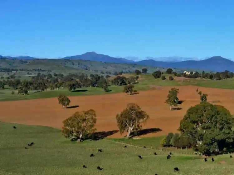 Sixth view of Homely rural property listing, LOT 2, 149 McLeods Lane, Mansfield VIC 3722