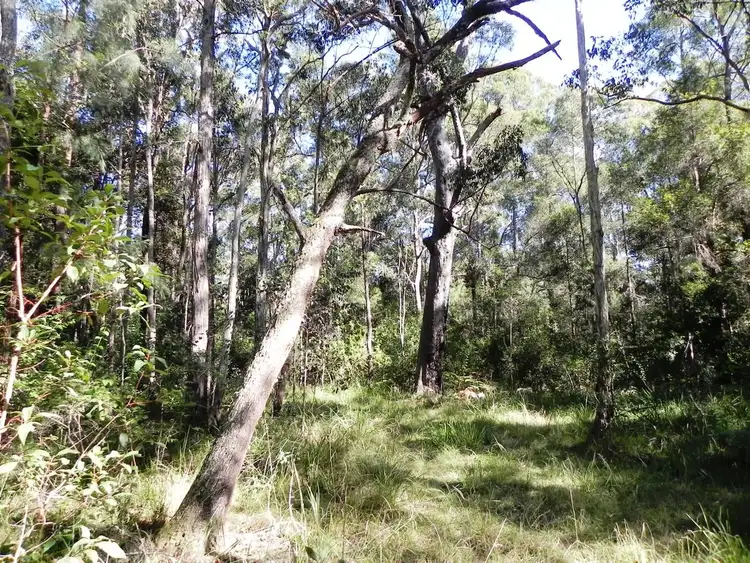 Seventh view of Homely rural property listing, Bostock Road, Tucabia NSW 2462