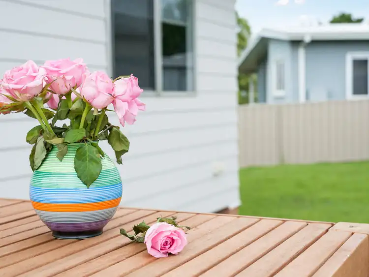 Fifth view of Homely house listing, 20 Peter Street, Rutherford NSW 2320