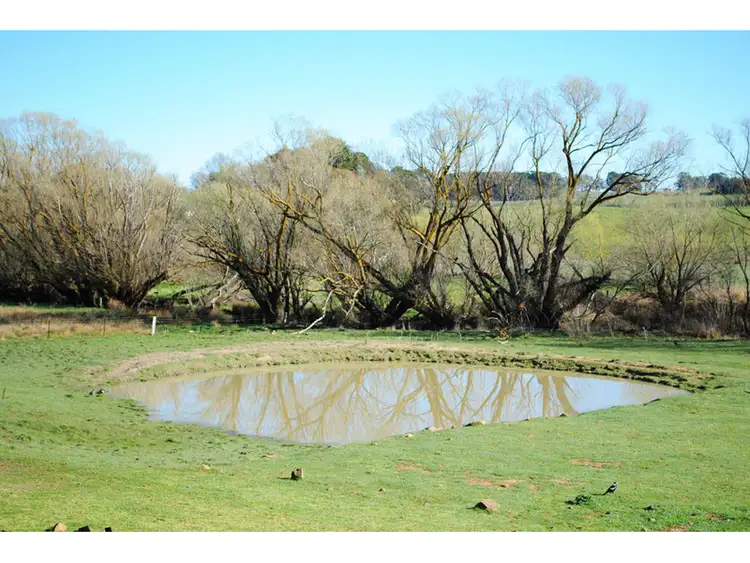 Fourth view of Homely rural property listing, 571 Forest Reefs Road, Millthorpe NSW 2798