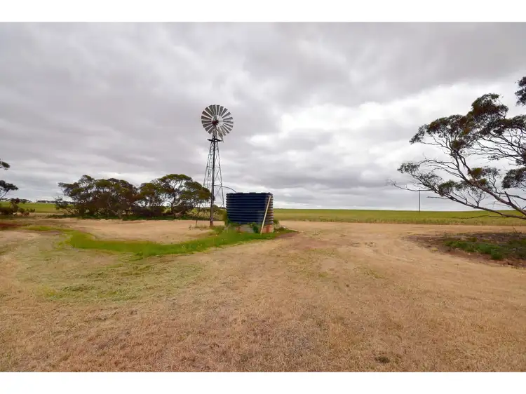 Second view of Homely rural property listing, 415 Ellikers Lane, Cambrai SA 5353