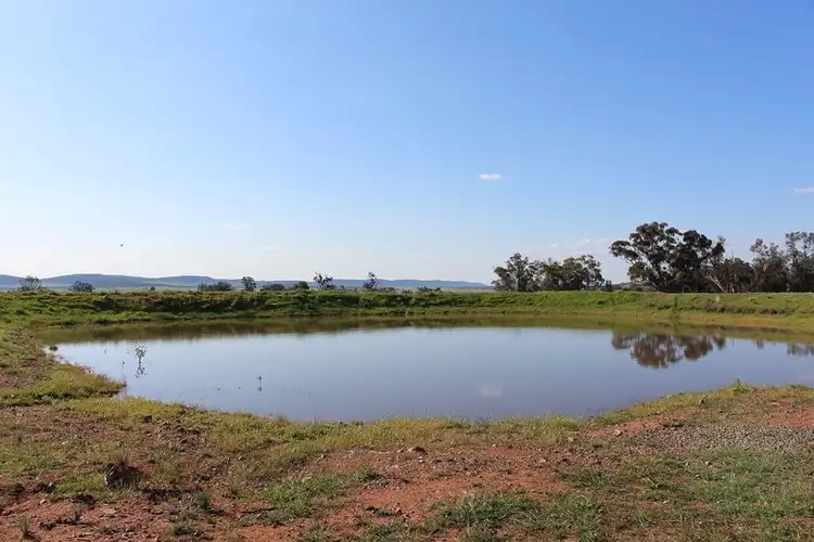 Sixth view of Homely land listing, LOT 12 Mount Tallabung Road, Forbes NSW 2871