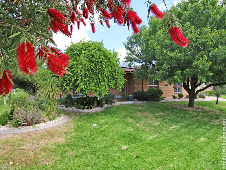 Main view of Homely house listing, 18 Grace Avenue, Lake Albert NSW 2650