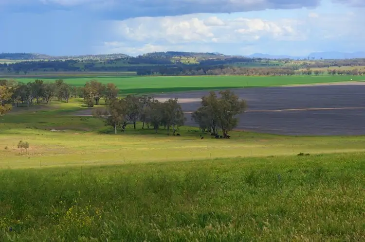 Sixth view of Homely rural property listing, 450 Warrah Ridge Road, Quirindi NSW 2343