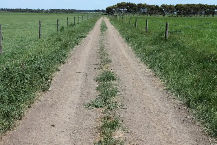 Sixth view of Homely rural property listing, 80 Beal Road, Irrewarra VIC 3249