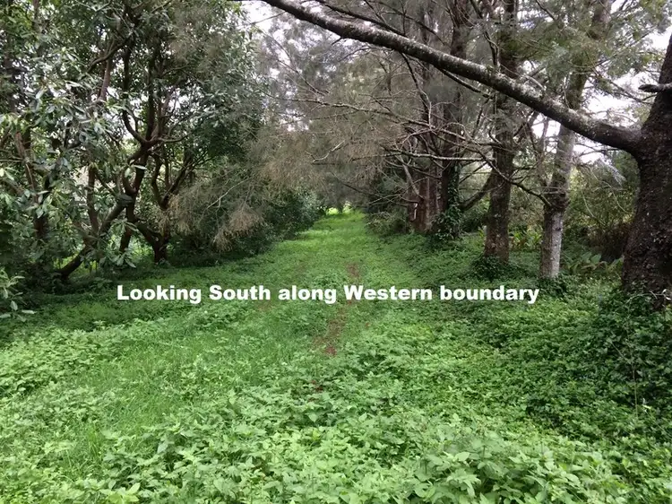Third view of Homely land listing, LOT 31/1A Esme Street Cnr Long Road, Tamborine Mountain QLD 4272