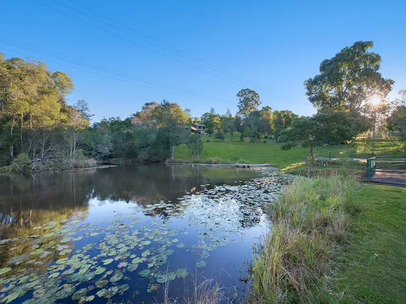 Main view of Homely house listing, 321 Mount Brisbane Road, Mount Pleasant QLD 4521