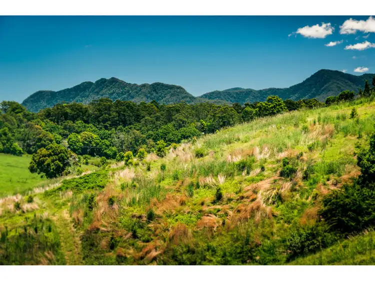 Seventh view of Homely land listing, LOT 111 Jordan Road, Bellingen NSW 2454