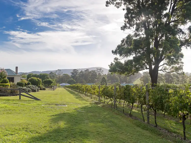 Second view of Homely house listing, 53/2 Oakey Creek Road, Pokolbin NSW 2320
