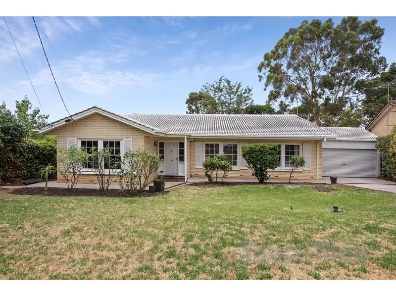 Main view of Homely house listing, 3 Elvira Grove, Wattle Park SA 5066