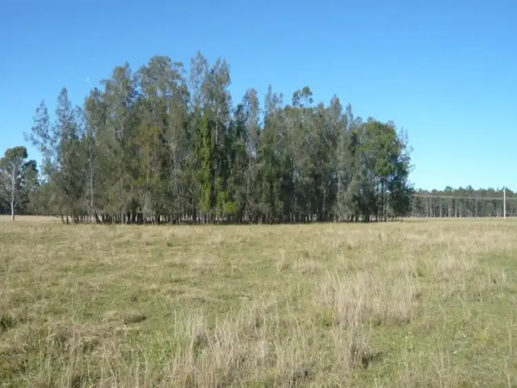 Sixth view of Homely rural property listing, 75 Ellangowan - Myrtle Creek Road, Casino NSW 2470