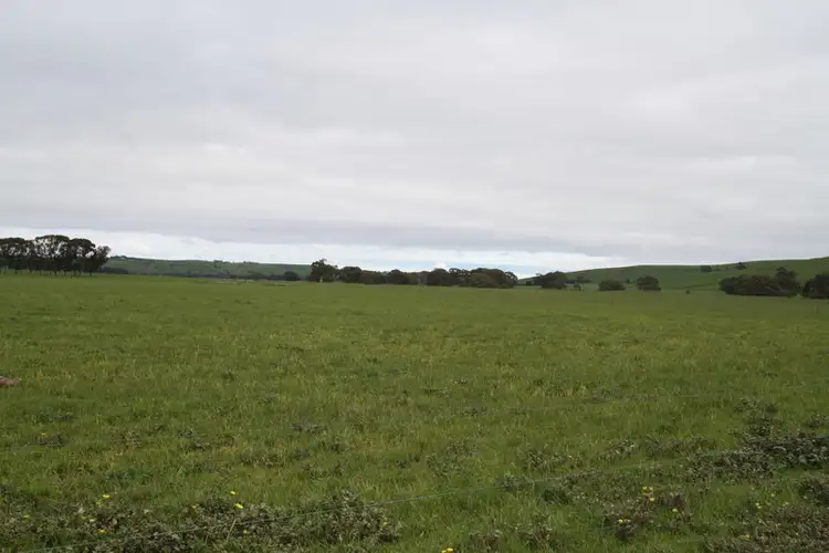 Third view of Homely rural property listing, 540 Lower Hilgay Road, Coleraine VIC 3315