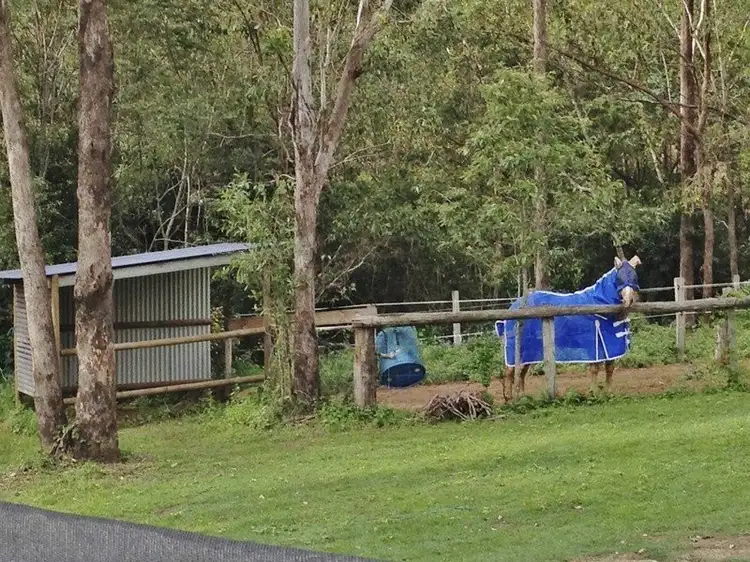 Seventh view of Homely rural property listing, 29 Dandys Court, Kholo QLD 4306