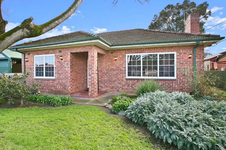19 Hammersmith Avenue, Edwardstown SA 5039