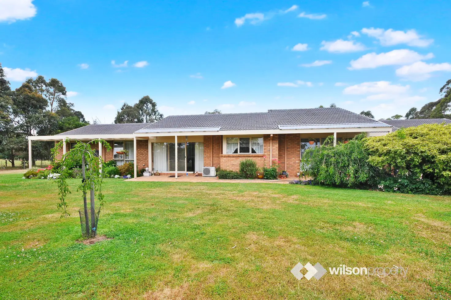 Main view of Homely house listing, 20 Cooba Way, Traralgon East VIC 3844