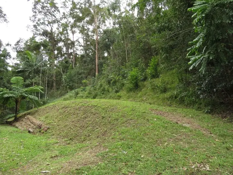 Fourth view of Homely rural property listing, 911 Kyogle Road, Uki NSW 2484