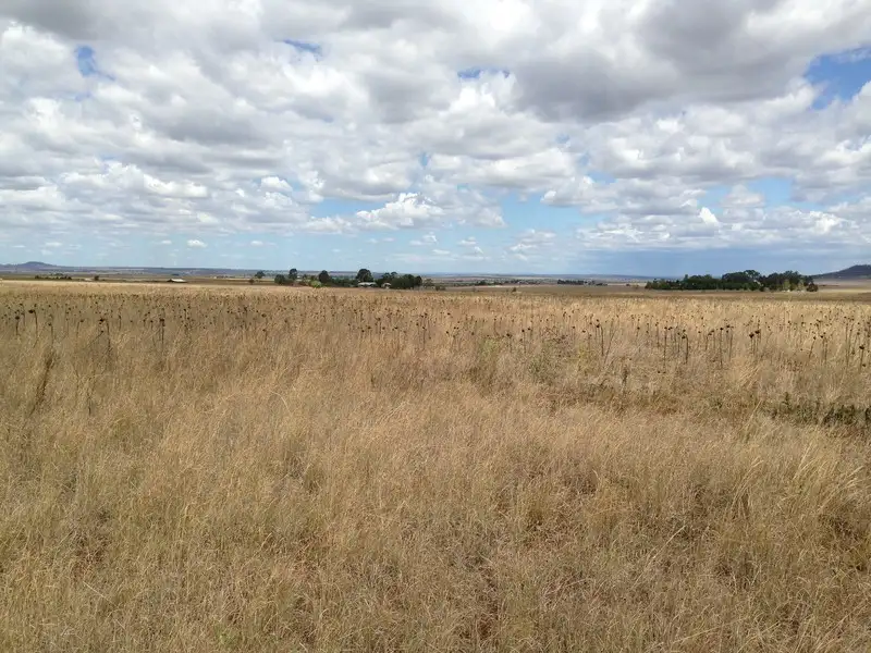 Main view of Homely rural property listing, 16 Felton-Clifton Rd, Nobby QLD 4360