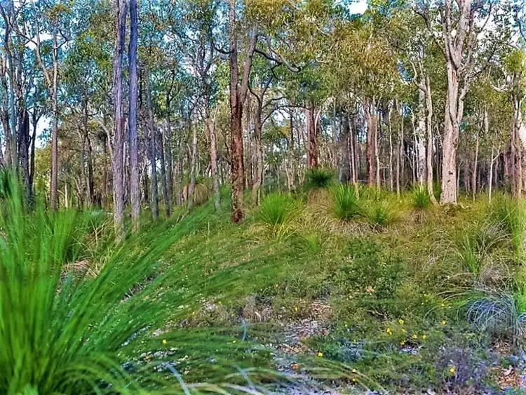 Sixth view of Homely land listing, 543 Clare Road, Hovea WA 6071