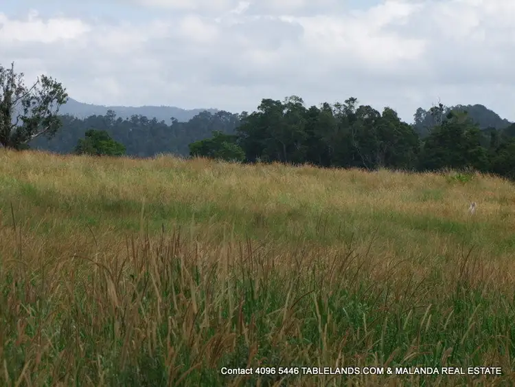 Seventh view of Homely rural property listing, F1143    Lot 549 Maalan Road, Millaa Millaa QLD 4886