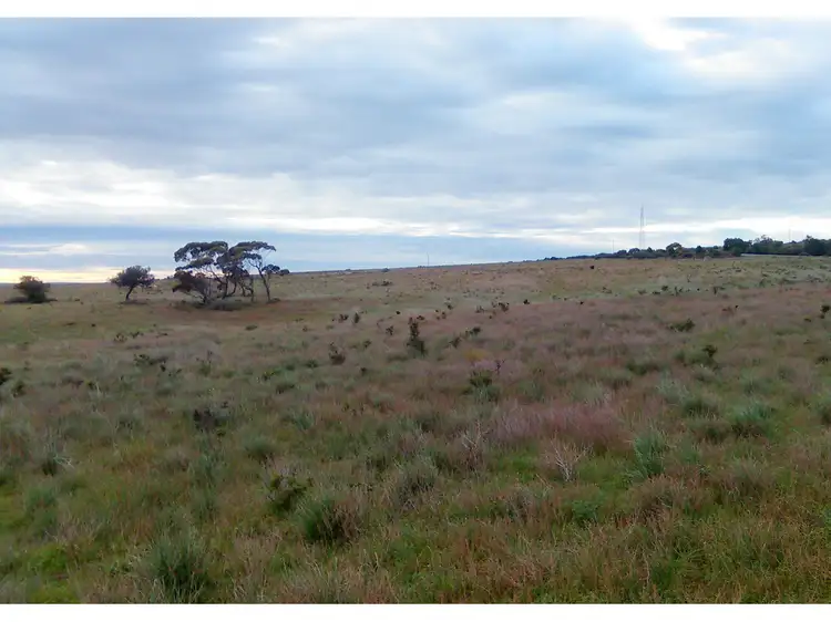 Seventh view of Homely rural property listing, 599, LOT 599 Caloote Road, Caloote SA 5254