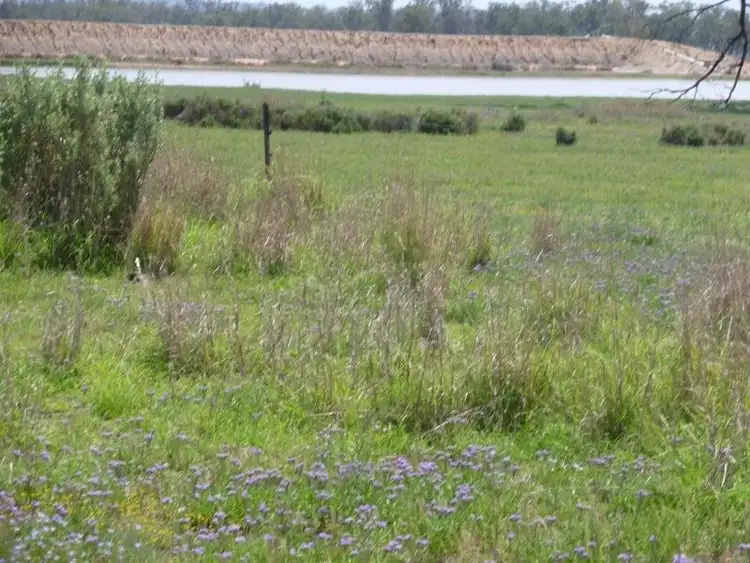 Fifth view of Homely rural property listing, Lot 2078 Rosenthal-Boundary Road, Clifton QLD 4361